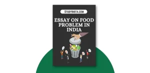 Essay on Food Problem in India