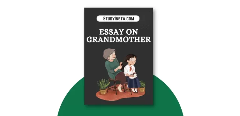 Essay on Grandmother For 10th Class Students